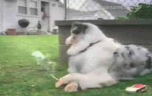 aϤ