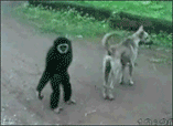 aϤ