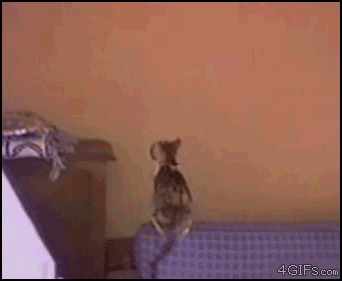 aϤ