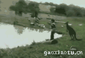 aϤ