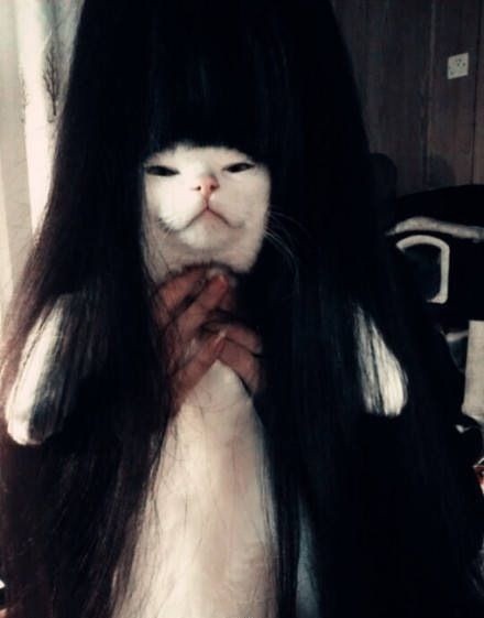 aϤ