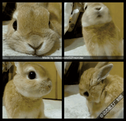 aϤ