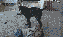 aϤ