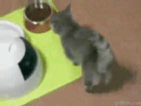 aϤ