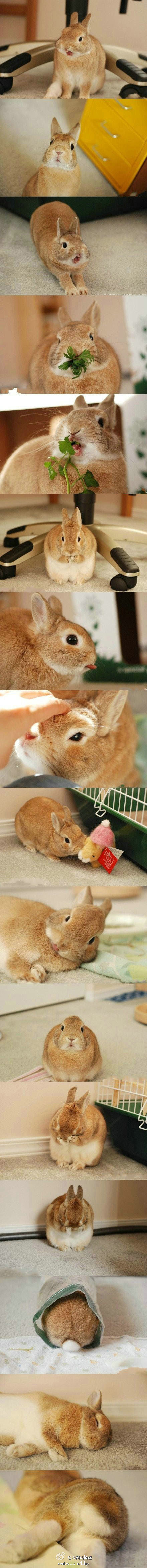 aϤ