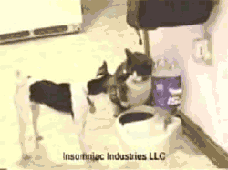 aϤ