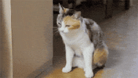 aϤ