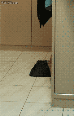 aϤ