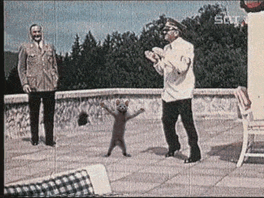 aϤ