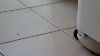 aϤ