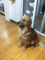 aϤ