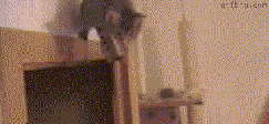 aϤ