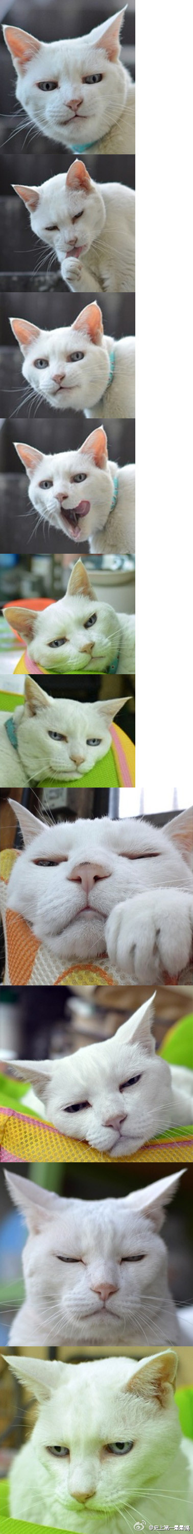 aϤ