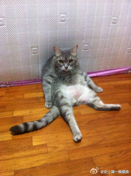 aϤ