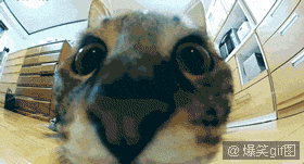aϤ