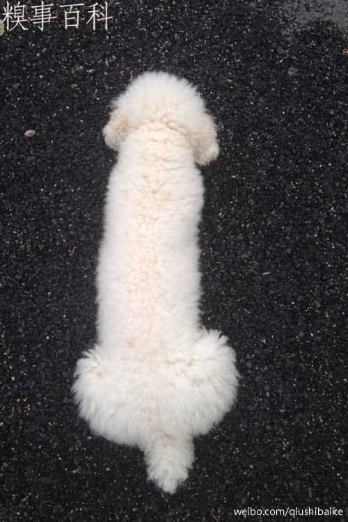aϤ