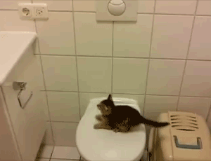aϤ