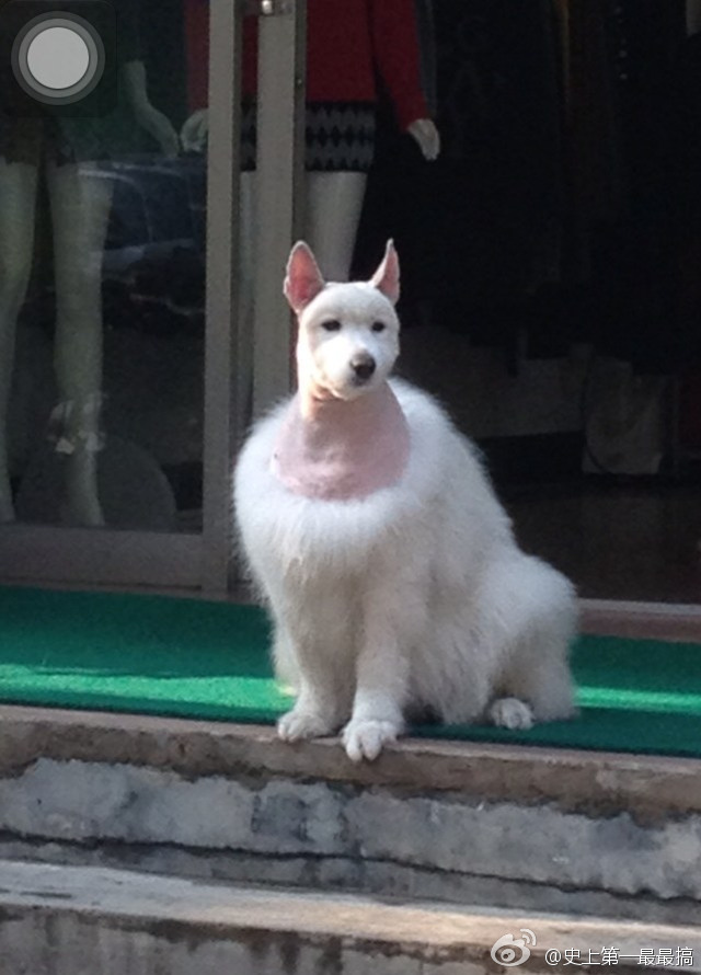 aϤ