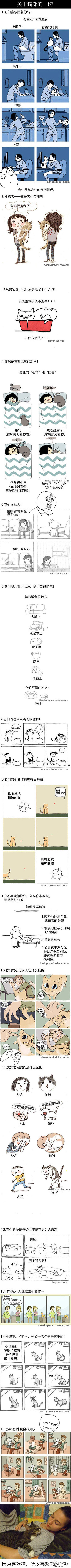 aϤ
