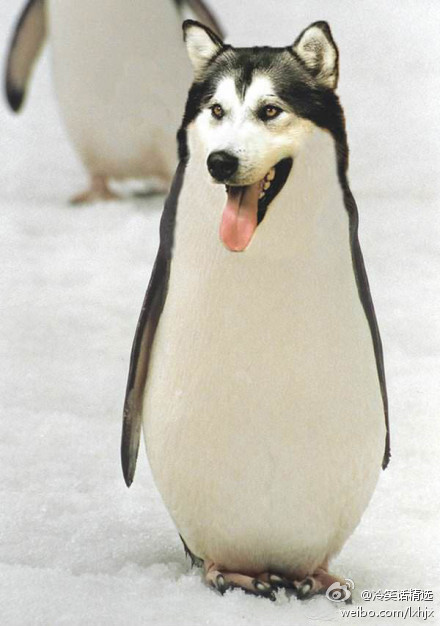 aϤ