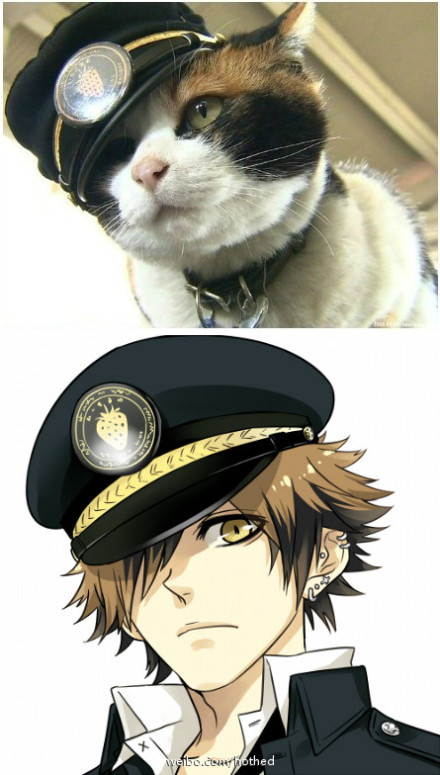 aϤ