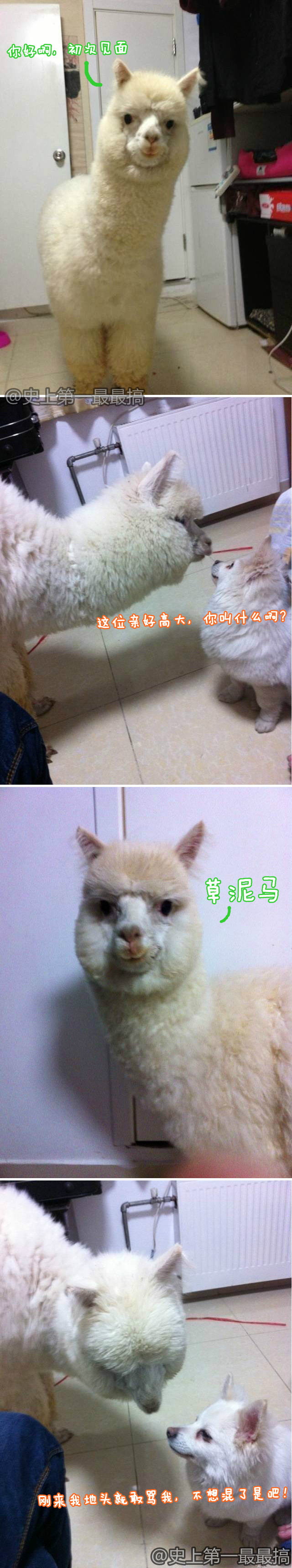aϤ
