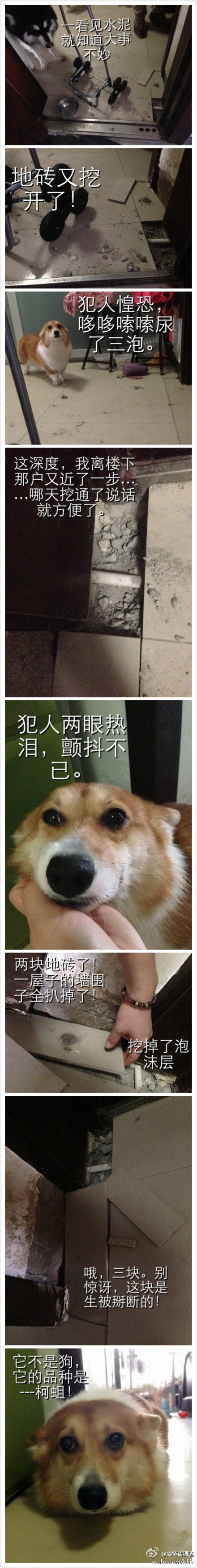 aϤ