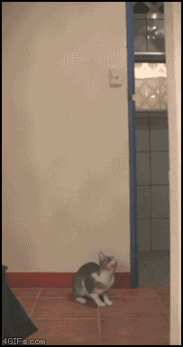 aϤ