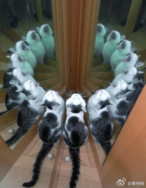 aϤ