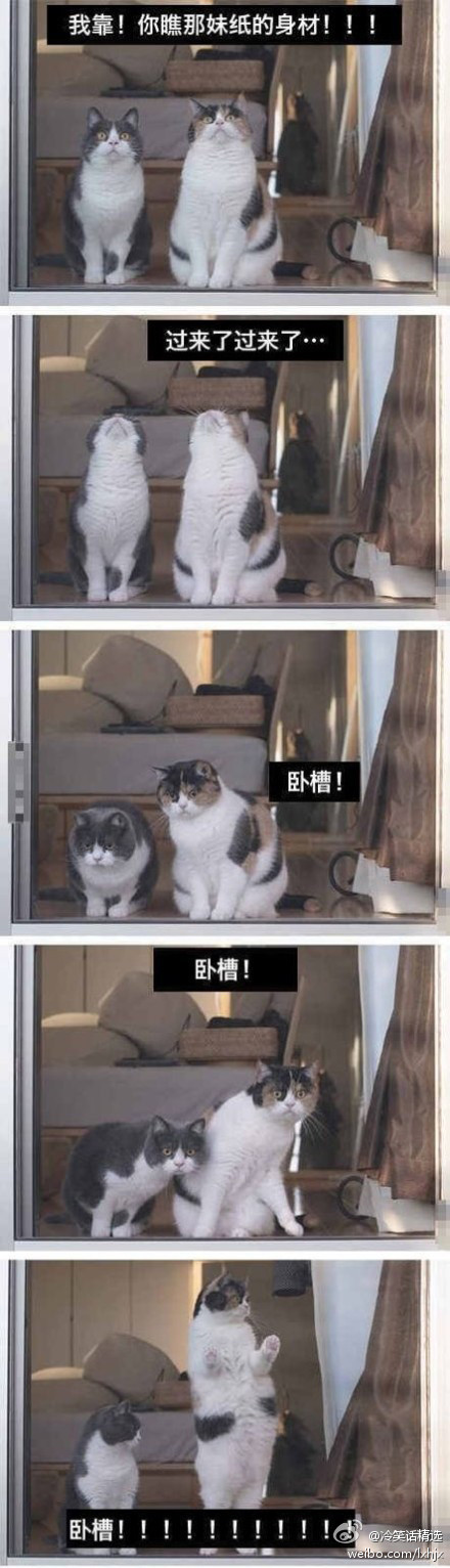 aϤ