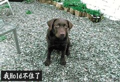 aϤ