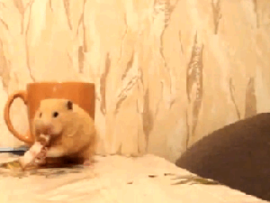 aϤ