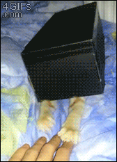 aϤ