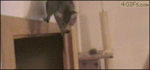 aϤ