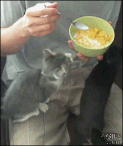aϤ
