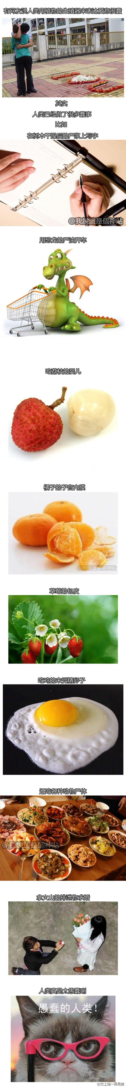 aϤ