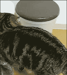 aϤ