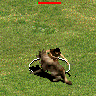 aϤ